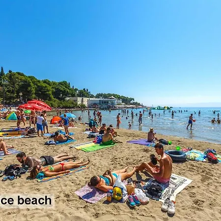 Lovely Near Beaches And Center, All Is Shown Split
